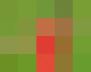 サッカー韓国代表　ホンジュラスに２―０で快勝