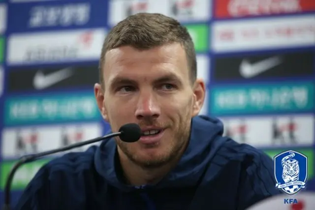 ＜W杯＞ボスニアMFジェコ、ソン・フンミンを警戒…本日（1日）韓国と親善試合
