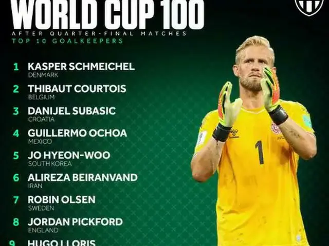 サッカー韓国代表チームのGKチョ・ヒョヌが2018ロシアワールドカップ最高のゴールキーパー5位に選定された。（提供:OSEN）
