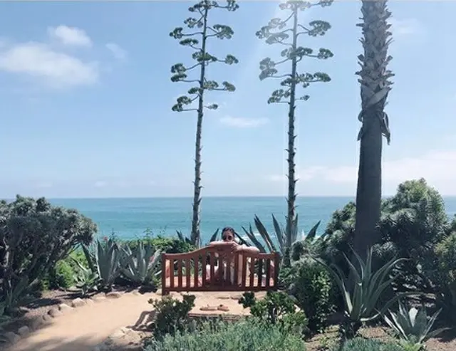 女優ソン・ヘギョがビーチをバックに久しぶりに日常を公開した。(提供:OSEN）