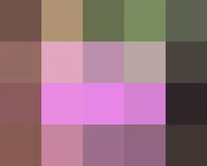 とにかく明るい安村　ソウルで２７日に初公演