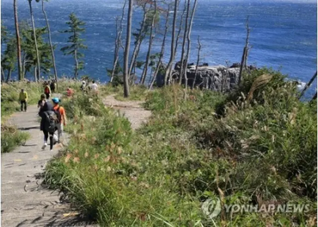 「宮城オルレ」の気仙沼・唐桑コース（済州オルレ提供）＝８日、済州（聯合ニュース）