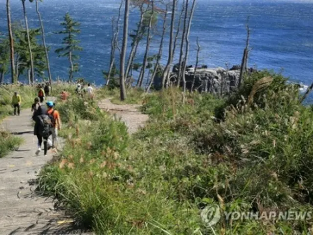 「宮城オルレ」の気仙沼・唐桑コース（済州オルレ提供）＝８日、済州（聯合ニュース）