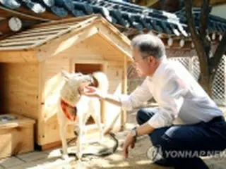 正恩氏から贈られた犬が出産　文大統領「大きな幸運」