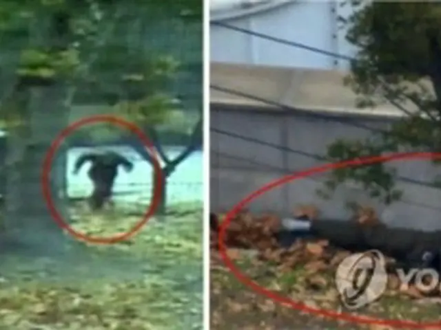 在韓国連軍司令部が公開した、呉氏が亡命する様子が映った監視カメラ映像（聯合ニュースＴＶ）＝（聯合ニュース）