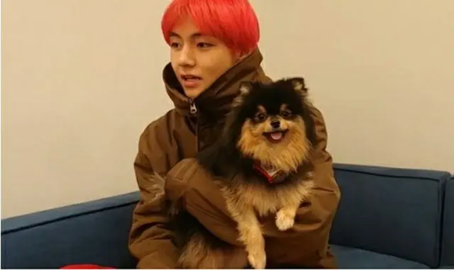 韓国ボーイズグループ「防弾少年団」(BTS)のVの愛犬ヨンタンと、俳優パク・ソジュンの愛犬シムバが出会った。（写真提供:OSEN）
