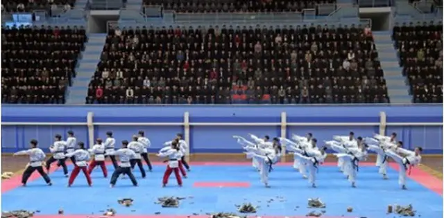 昨年11月2日、北朝鮮・平壌で開催された合同公演（資料写真）＝（聯合ニュース）