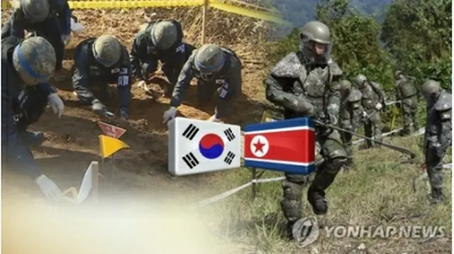 韓国軍当局が朝鮮戦争の激戦地だった南北非武装地帯（ＤＭＺ）の「矢じり高地」で戦死者の遺骨の発掘に着手する（コラージュ）＝（聯合ニュース）