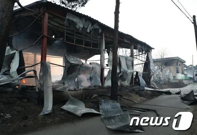 江原道山火事で1人死亡・250ヘクタールが消失…消化活動続く＝韓国