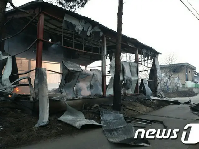 江原道山火事で1人死亡・250ヘクタールが消失…消化活動続く＝韓国