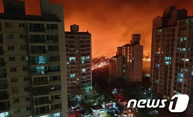 高城・束草の大規模な山火事、1人死亡・11人負傷・250ha消失＝韓国