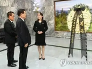 トップダウン方式の南北首脳会談　早期開催へ努力＝韓国統一部