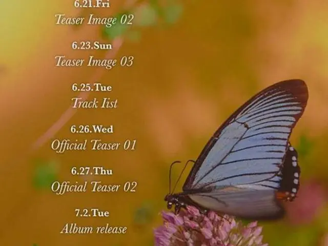 歌手Ailee、7月2日にアルバム引っ提げカムバック（提供:OSEN）