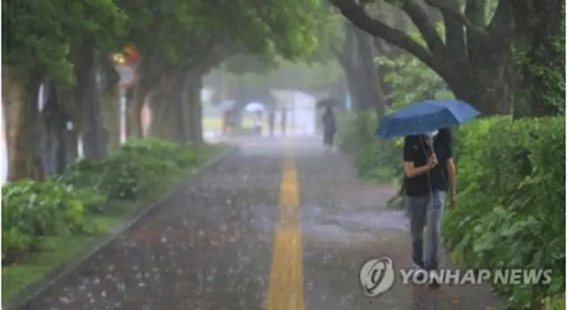 雨が降る済州市内＝２６日、済州（聯合ニュース）