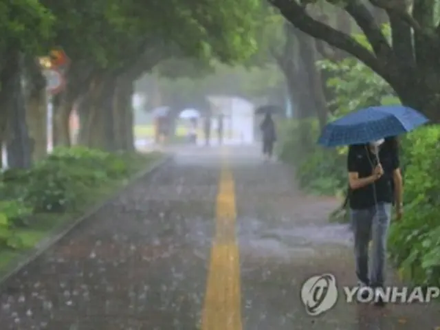 雨が降る済州市内＝２６日、済州（聯合ニュース）