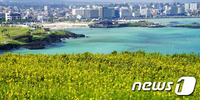 韓国で広がる”シャイ・ジャパン”… 不買運動のはずが旧盆休暇の人気旅行上位に日本（画像:news1、済州島）