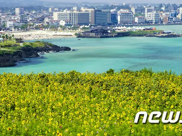 韓国で広がる”シャイ・ジャパン”… 不買運動のはずが旧盆休暇の人気旅行上位に日本（画像:news1、済州島）