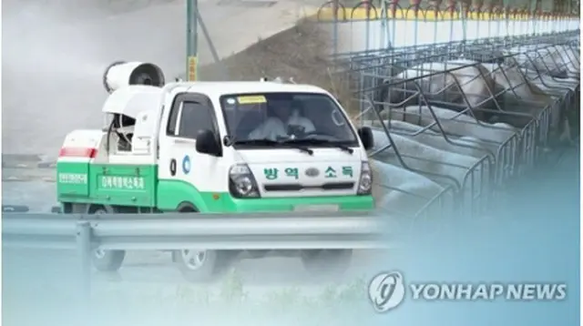 防疫作業に努めてきた韓国でもアフリカ豚コレラが発生した（コラージュ）＝（聯合ニュース）
