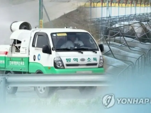 防疫作業に努めてきた韓国でもアフリカ豚コレラが発生した（コラージュ）＝（聯合ニュース）