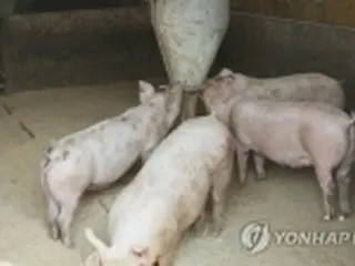 韓国　けさのニュース（９月１７日）