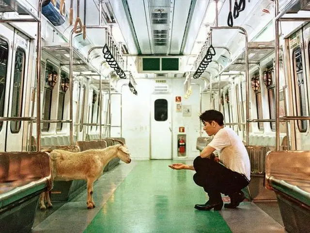 ジコ（ZICO）、地下鉄の中でヤギとともに夢幻的な雰囲気でファンにあいさつ（提供:OSEN）