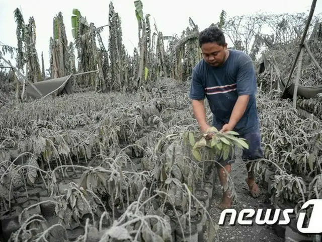 フィリピン火山噴火、韓国人の被害なし…滞在客は順次帰国予定＝韓国（提供:news1）