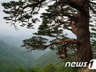 白頭山・金剛山への個人旅行、韓国政府が検討中