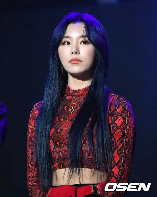 【全文】「MAMAMOO」フィイン、インフルエンザで30日「ソウル歌謡大賞」不参加（提供:OSEN）