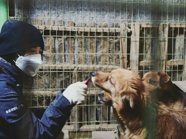 女優ク・ヘソン、動物保護所に飼料1トンを寄付、「天使たちに新しい人生を」（提供:OSEN）
