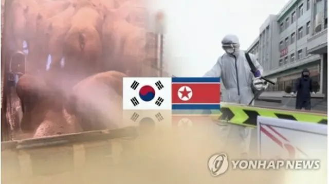 韓国統一部の当局者は北朝鮮との保健協力を巡る協議などは検討しないと明らかにした＝（聯合ニュースＴＶ）