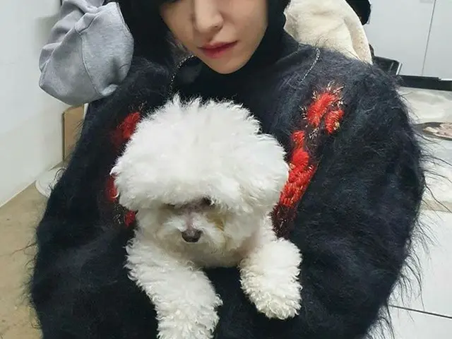 「Brown Eyed Girls」ガイン、SNSのハッキング被害を告白（提供:OSEN）
