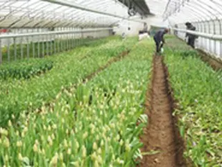 韓国農林畜産食品部、新型コロナ被害農家に600億ウォンの融資支援