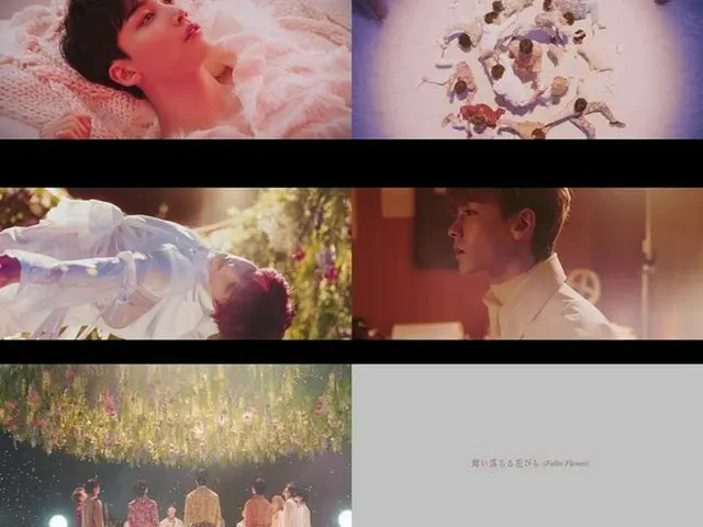 「SEVENTEEN」、2ndシングル「舞い落ちる花びら (Fallin' Flower)」MVティザーをサプライズ公開（提供:OSEN）