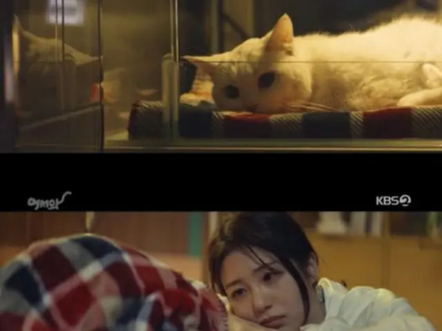 ドラマ「おかえり」より（提供:OSEN）