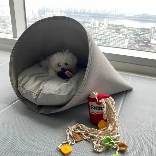 チャンミン（東方神起）、”漢江ビュー”の自宅公開 「愛犬が僕の通帳を…」（画像:OSEN」