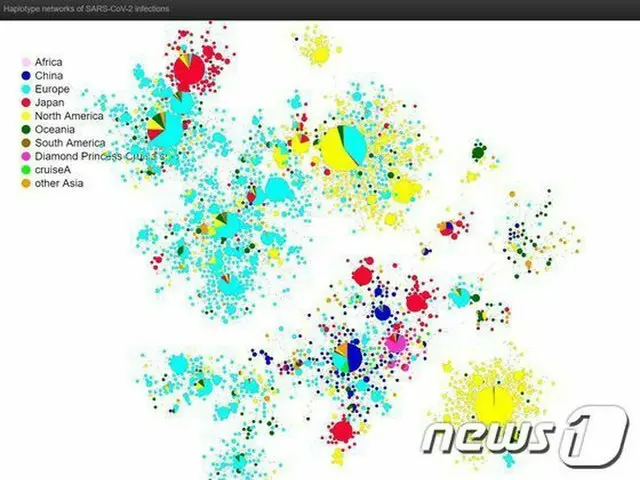 日本国立感染症研究所の新型コロナのゲノム情報関係図（提供:news1）