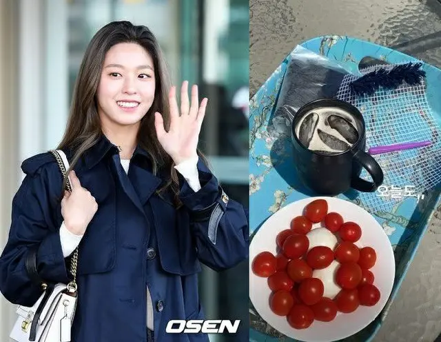 ソリョン（AOA）がダイエット食を公開した。（提供:OSEN）