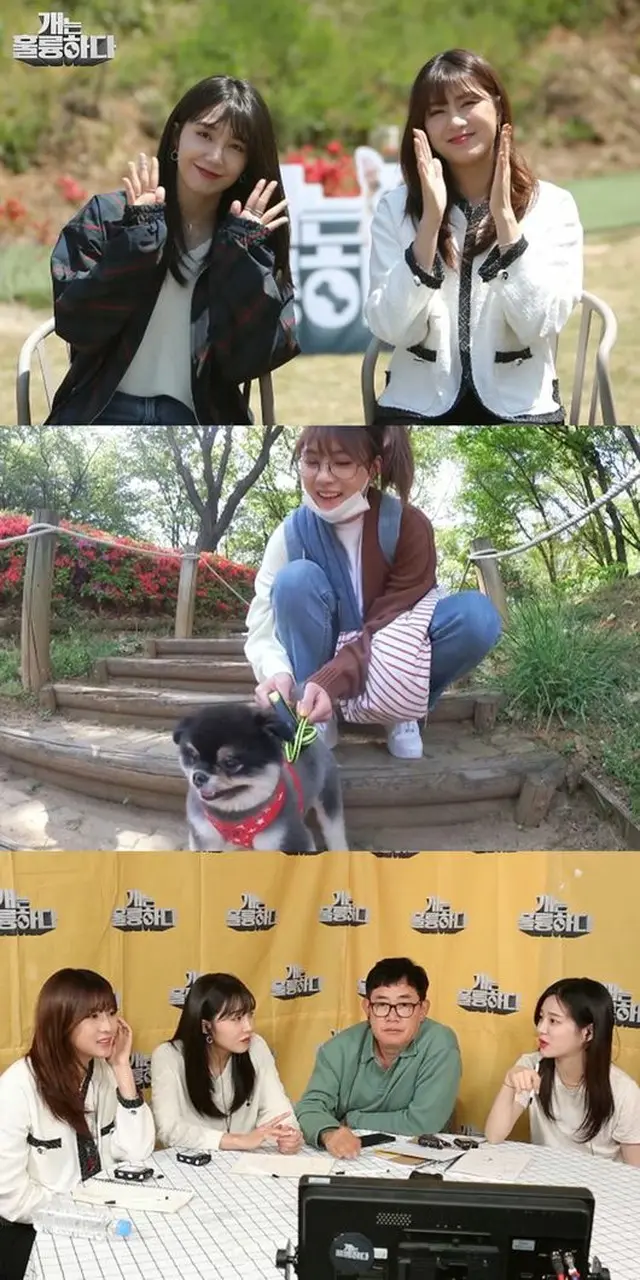 「Apink」チョン・ウンジとオ・ハヨンが「犬は素晴らしい」に出演する。（提供:OSEN）