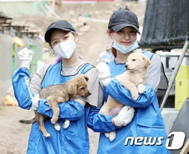 「TWICE」のジョンヨンとツウィがカムバックを控えて、遺棄された動物の奉仕に参加した。（提供:news1）