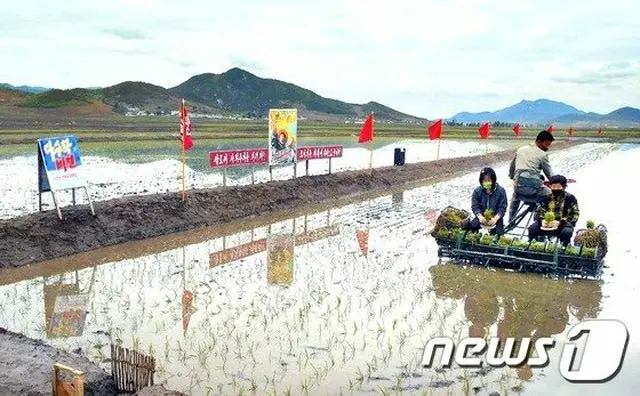 北朝鮮、田植えに必要な肥料、農薬等保障強化(提供:news1）