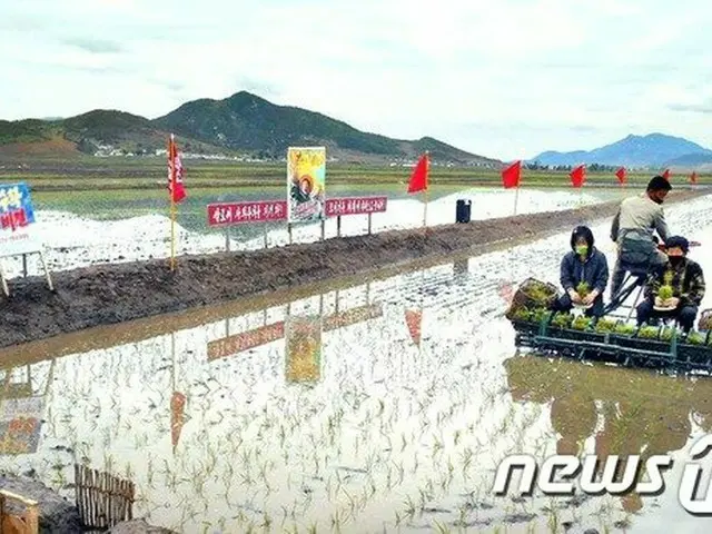 北朝鮮、田植えに必要な肥料、農薬等保障強化(提供:news1）