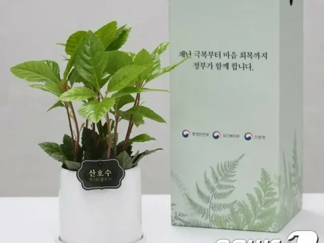 自己隔離者に伴侶植物を普及…対応人材にはスマートガーデン設置＝韓国（提供:news1）