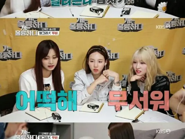 「TWICE」ナヨン＆モモ＆ツウィ、バラエティ番組「犬は素晴らしい」で愛犬に対する悩みを相談（提供:OSEN）