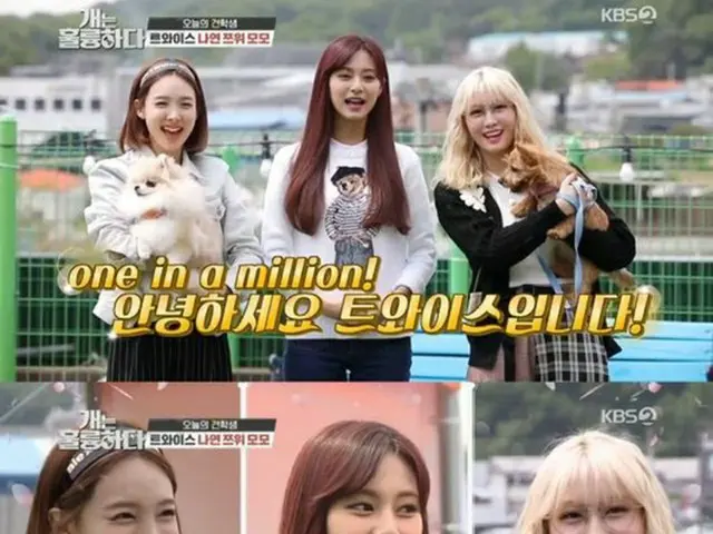 モモ（TWICE）、ペットのノーリッチ・テリアを紹介 「賢いわんちゃん」（画像:画面キャプチャ/OSEN）