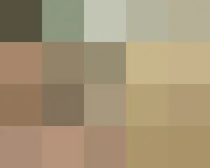 ＜WKコラム＞チョン・セウン、ピザの箱に猫の絵？宅配サービスで「猫の絵を描いてください」が流行！