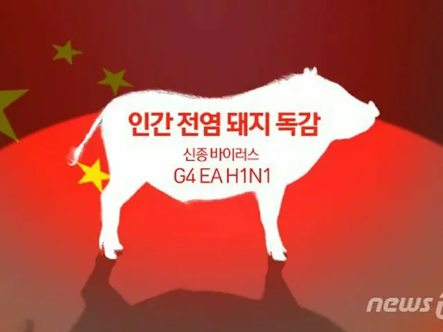 中国政府「新型豚インフルエンザの恐れは誇張されたもの…容易に人間には伝染しない」（提供:news1）