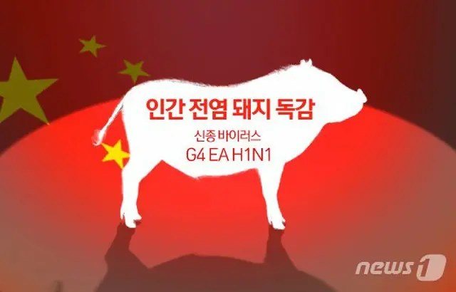 中国の豚インフル、パンデミック警戒 「要素、すべて持ち合わせている」（画像:news1）