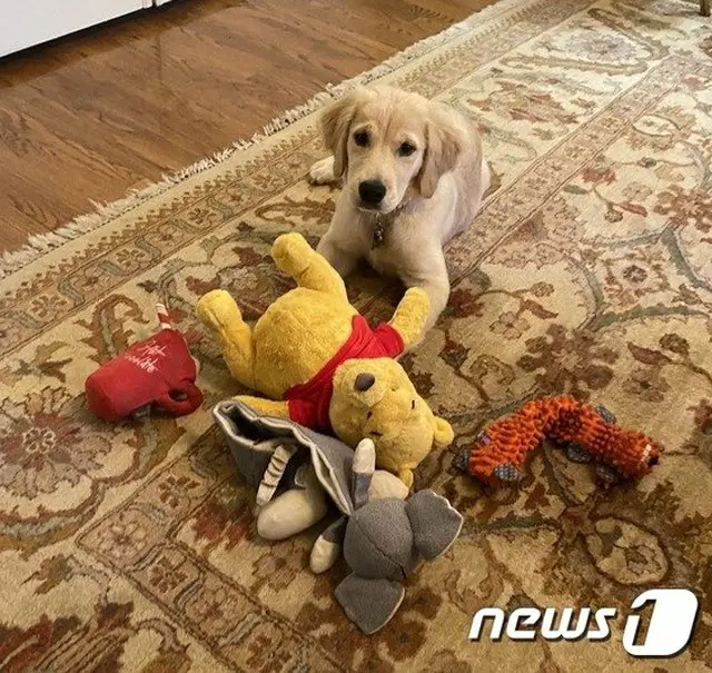 ポンペオ米国国務長官は、キャラクター“クマのプーさん”の人形で遊んでいる犬の写真を自身のツイッターにあげた（提供:news1）