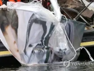 韓国統一部が所管団体を検査へ　脱北者団体中心に活動内容など確認