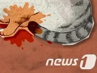 住宅の壁に縛られた猫の死体発見で捜査へ＝韓国警察